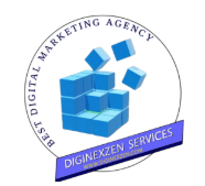 Diginexzen Services logo